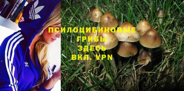 spice Балабаново