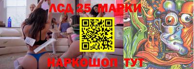 стафф Лесосибирск