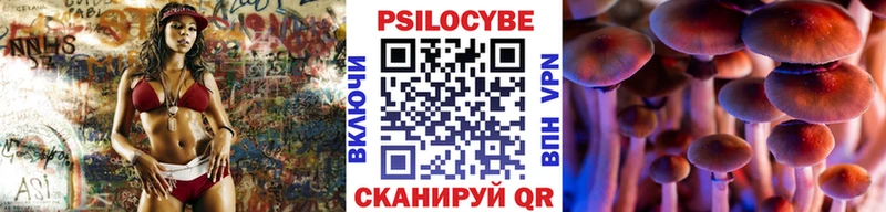 Псилоцибиновые грибы Psilocybe Ишим