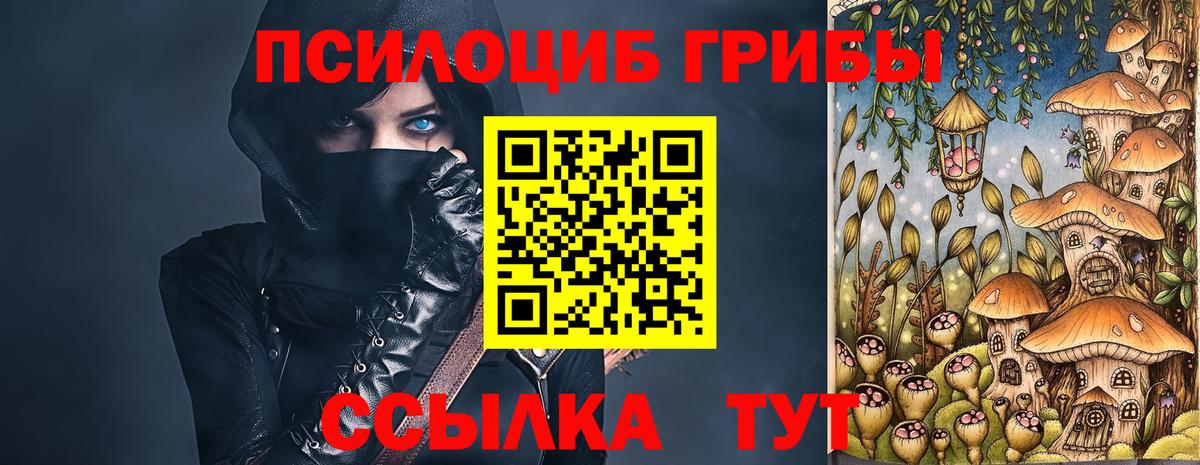 Галлюциногенные грибы MAGIC MUSHROOMS  Вход с VPN  Ишим 