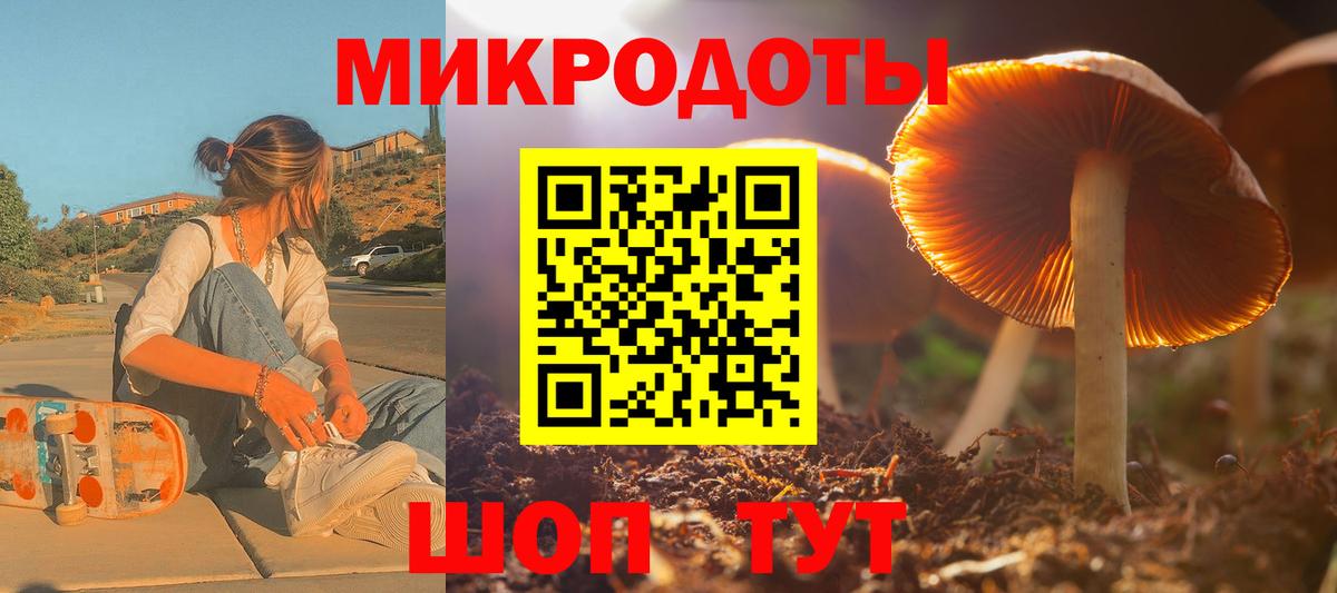 Галлюциногенные грибы Psilocybine cubensis Ишим